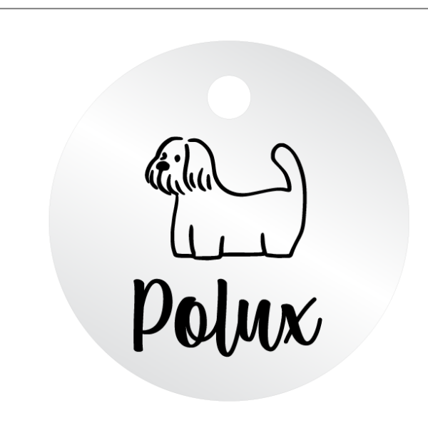Médailles chien personnalisées Polux