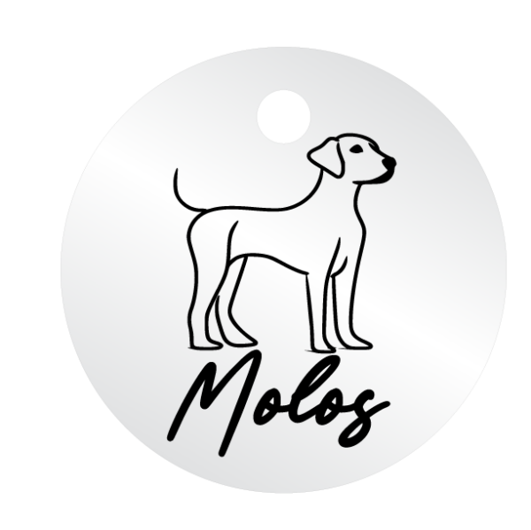 Médailles chien personnalisées Molos