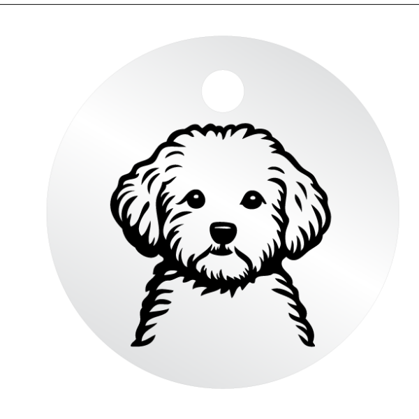 Médailles chien personnalisées Caniche – Image 4