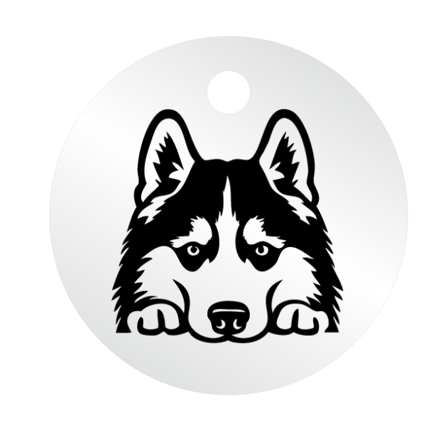 Médailles chien personnalisées Husky – Image 4