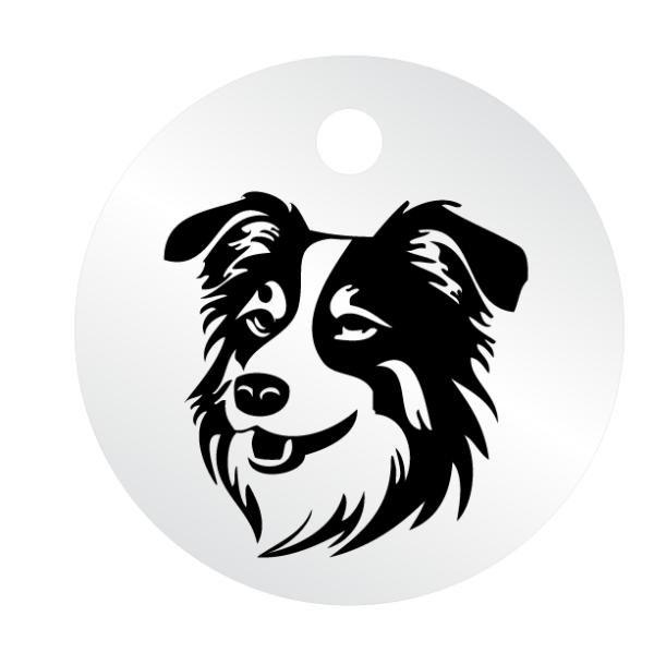 Médailles chien personnalisées Border Collie – Image 4