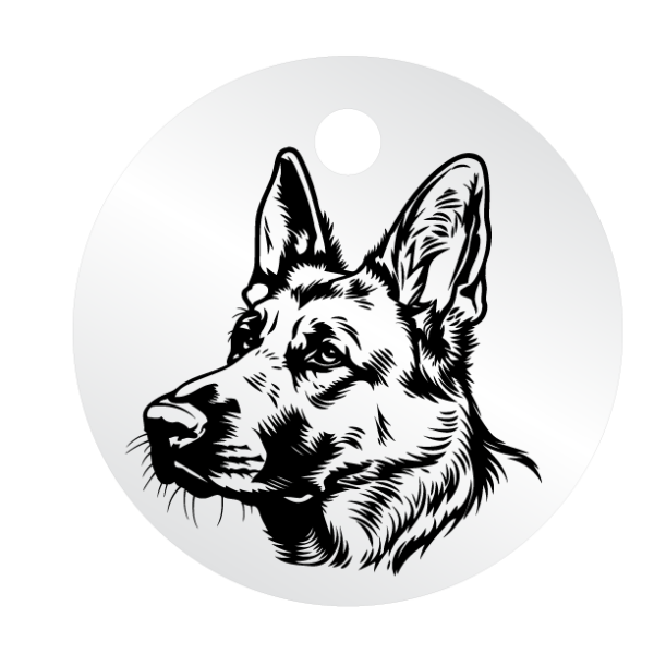Médailles chien personnalisées Malinois – Image 4