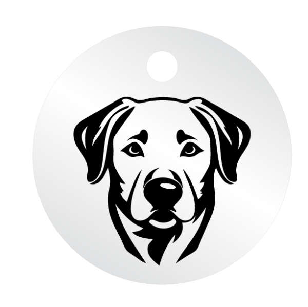 Médailles chien personnalisées Labrador – Image 4