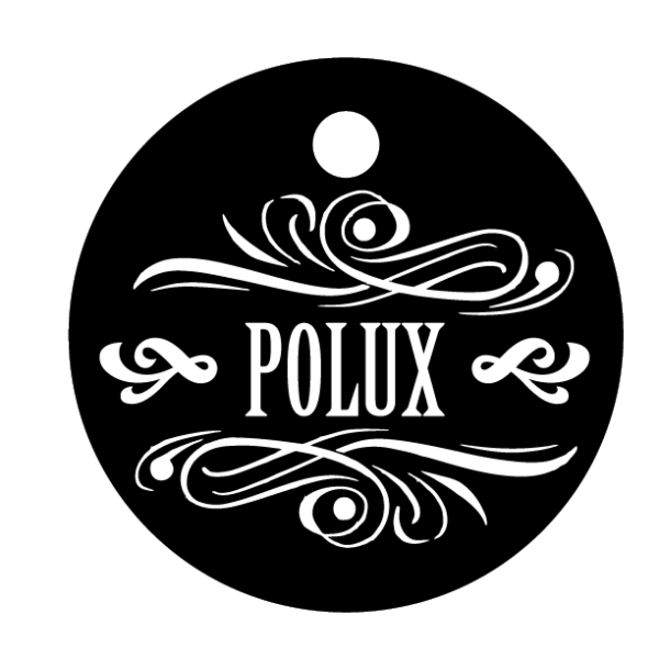 Médailles chien personnalisées Polux