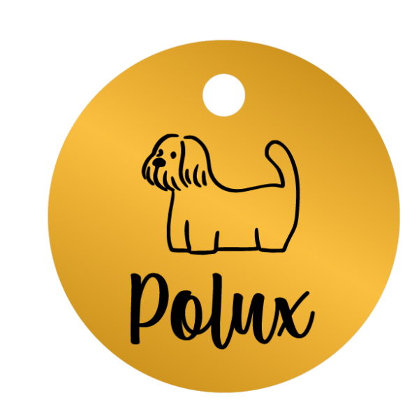 Médailles chien personnalisées Polux – Image 4