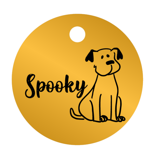 Médailles chien personnalisées Spooky – Image 4