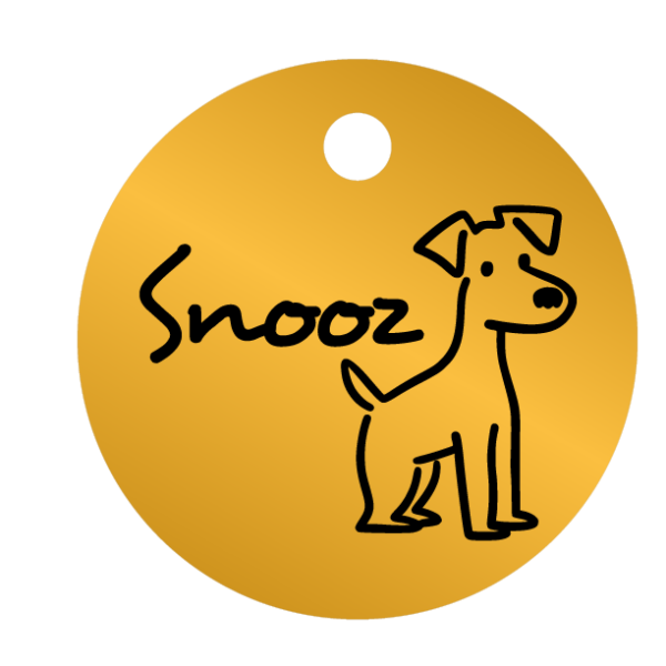 Médailles chien personnalisées Snooz – Image 4