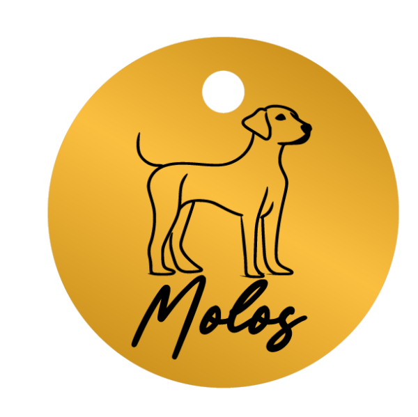 Médailles chien personnalisées Molos – Image 4