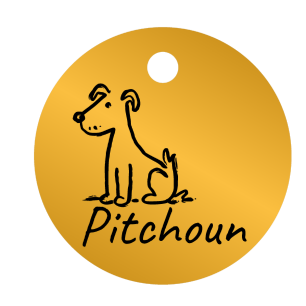 Médailles chien personnalisées Pitchoun – Image 4