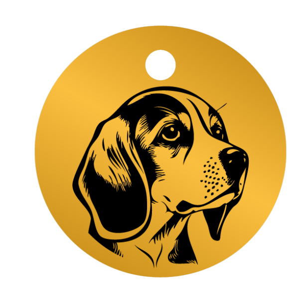 Médailles chien personnalisées Beagle
