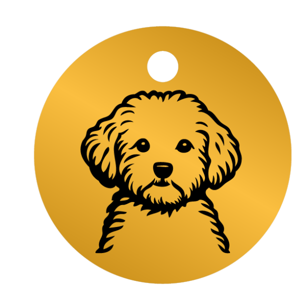 Médailles chien personnalisées Caniche