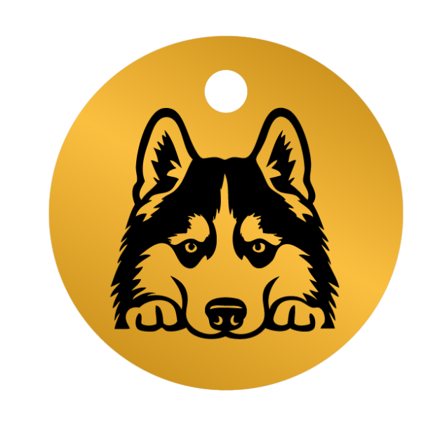 Médailles chien personnalisées Husky