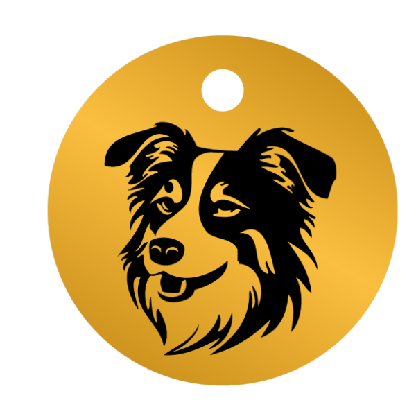 Médailles chien personnalisées Border Collie