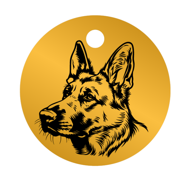Médailles chien personnalisées Malinois