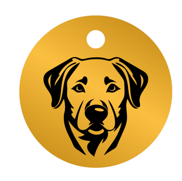 Médailles chien personnalisées Labrador