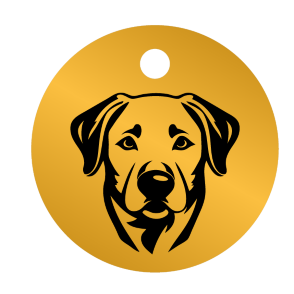 Médailles chien personnalisées Labrador